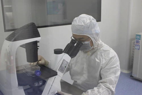 諾未科技 生命科學研究再創(chuàng)新，生物技術(shù)研發(fā)新突破